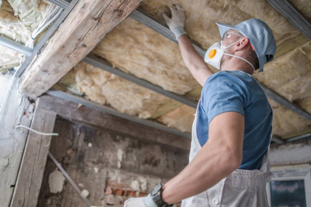 Best Spray Foam Insulation in Anson, TX