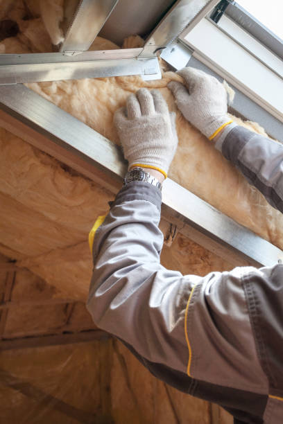 Best Insulation Maintenance and Repair in Anson, TX