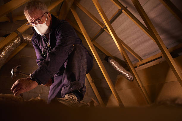 Best Cellulose Insulation in Anson, TX